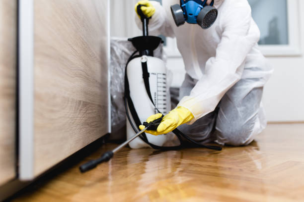 Best Best Pest Control Companies  in Martha Lake, WA