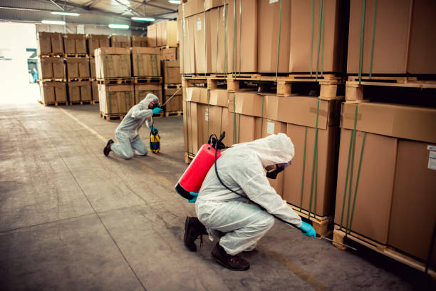 Flea Control Services in Martha Lake, WA