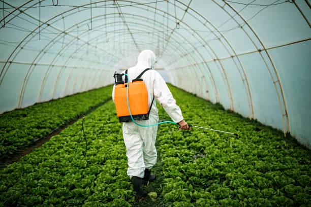 Best Mosquito Control Services  in Martha Lake, WA