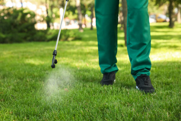 Best Residential Pest Control  in Martha Lake, WA