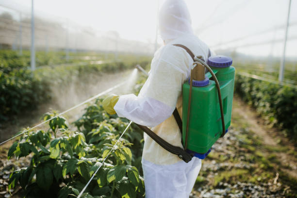 Best Affordable Pest Control Services  in Martha Lake, WA